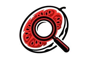 中国达人秀2011 - 吃瓜社Logo